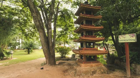 imagem capa Jardim Japonês em Caldas Novas: Contato com a Natureza