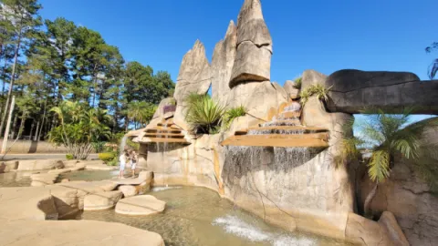 imagem capa Monumento das Águas: Cartão-Postal de Caldas Novas